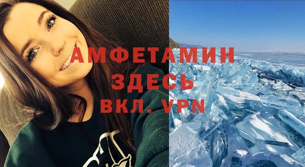 мяу мяу мука Пролетарск