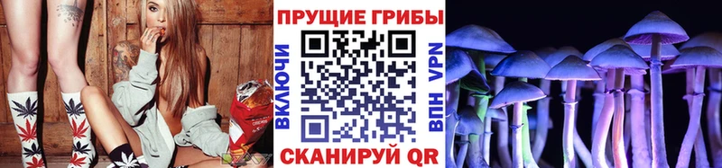 Галлюциногенные грибы MAGIC MUSHROOMS  ссылка на мегу онион  Каргат 